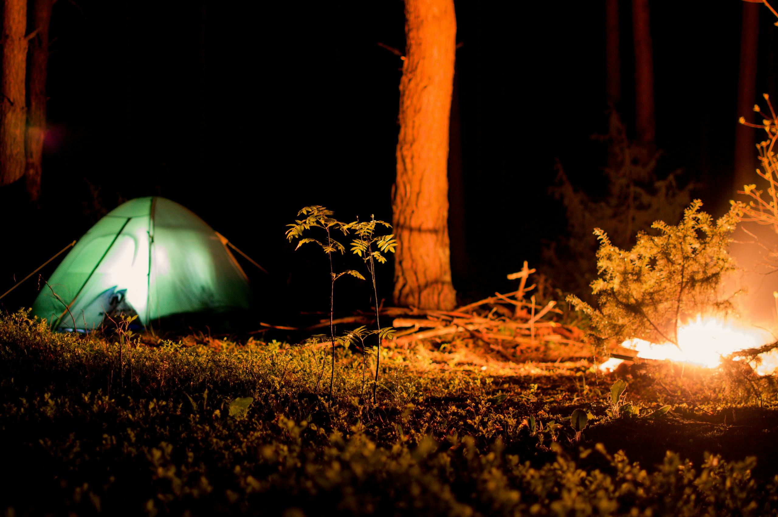 A tranquil campsite with a tent and campfire glowing at night, surrounded by forest trees.
