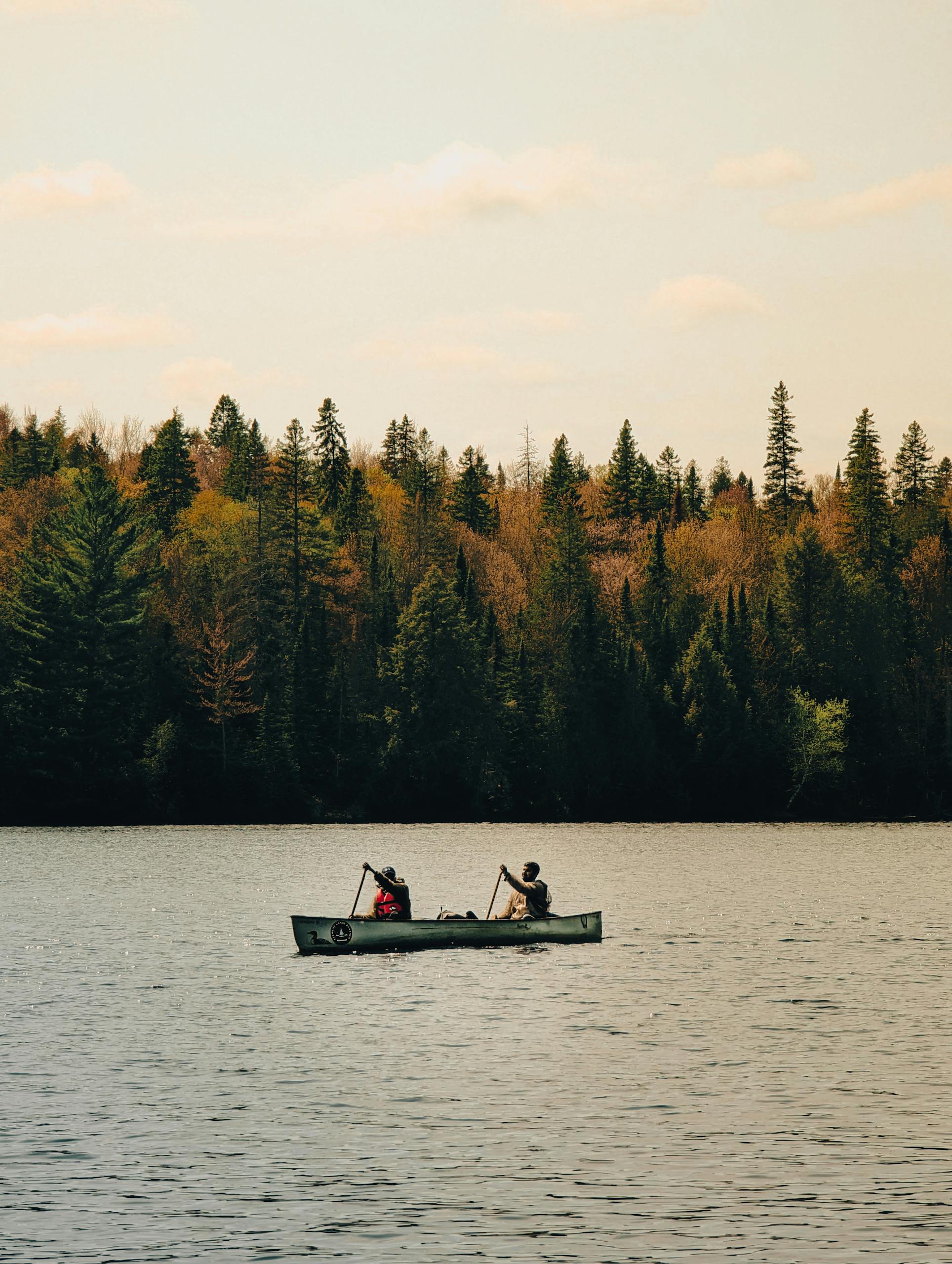 Two adults canoeing on a tranquil river surrounded by lush forest trees.
