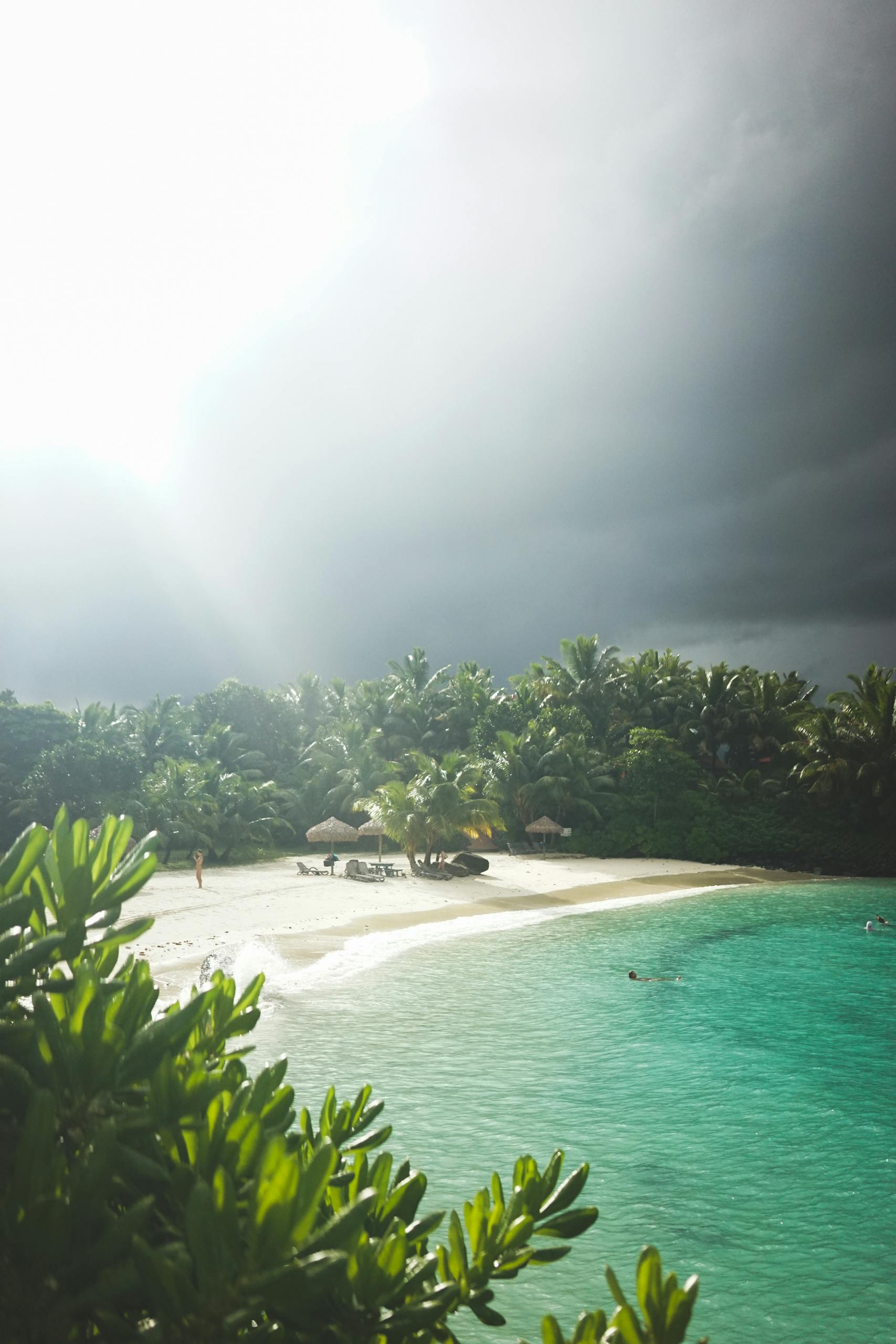 A serene tropical beach with clear turquoise waters, lush greenery, and an overcast sky.