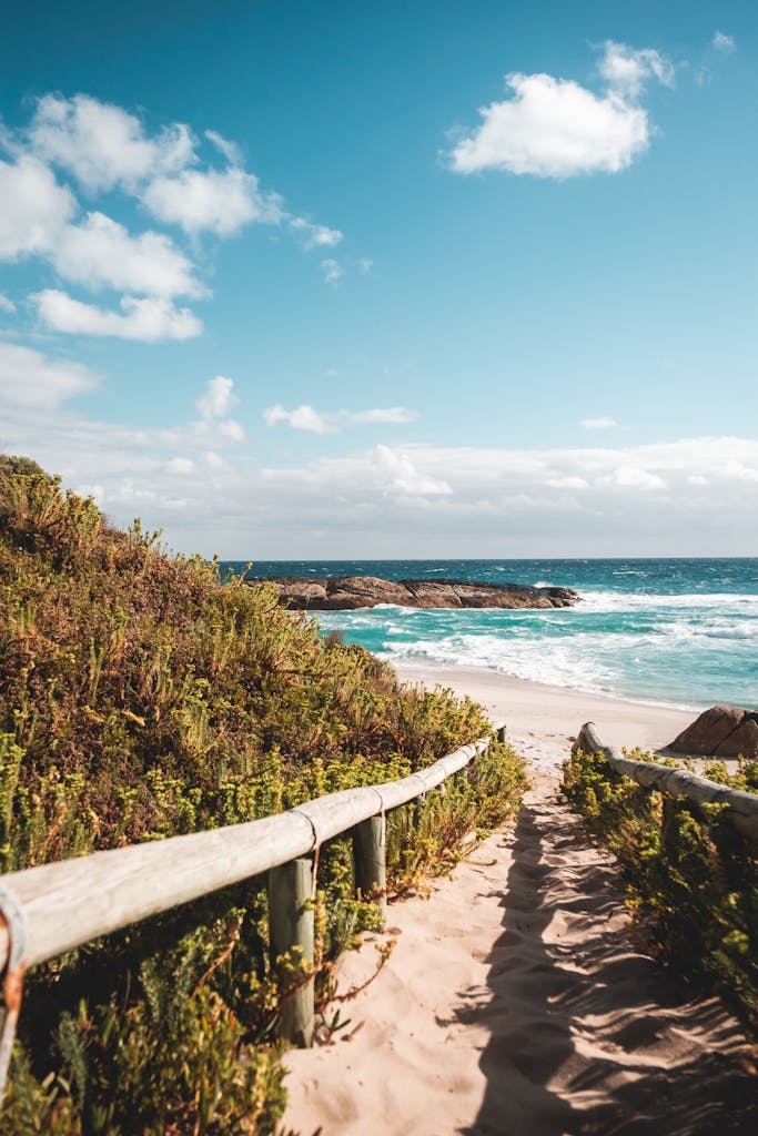 Walkway with wooden railings leading to empty sandy beach along green plants on background of blue sky